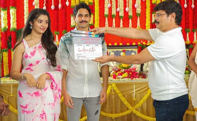 Director Boyapati For Naga Chaitanya